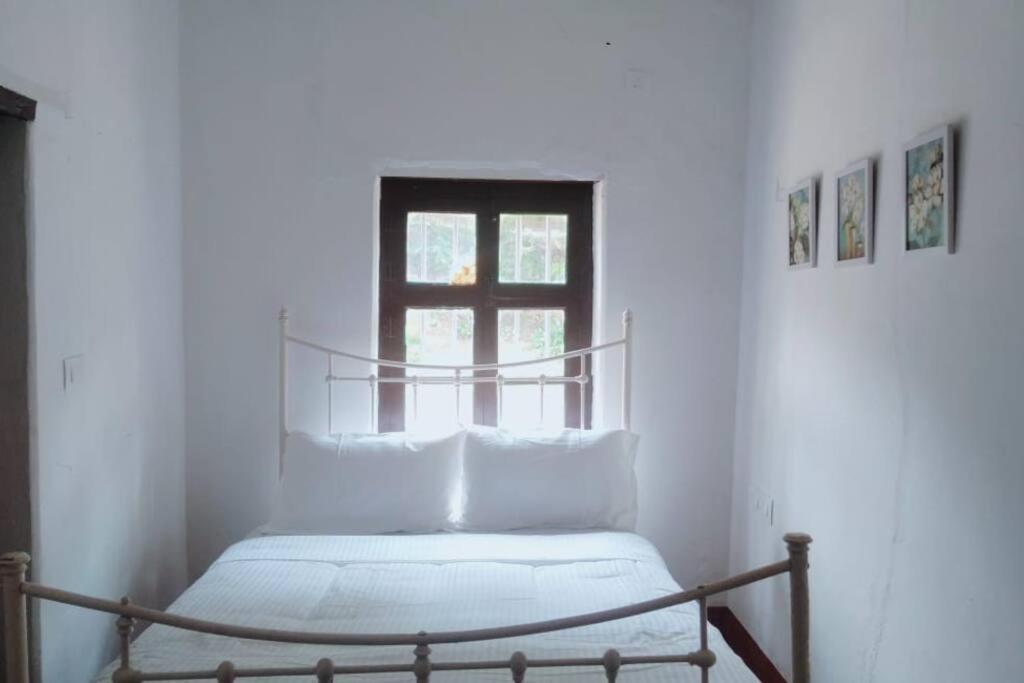 מדיקרי A Quaint Cottage With Rajah'S Seat View. מראה חיצוני תמונה